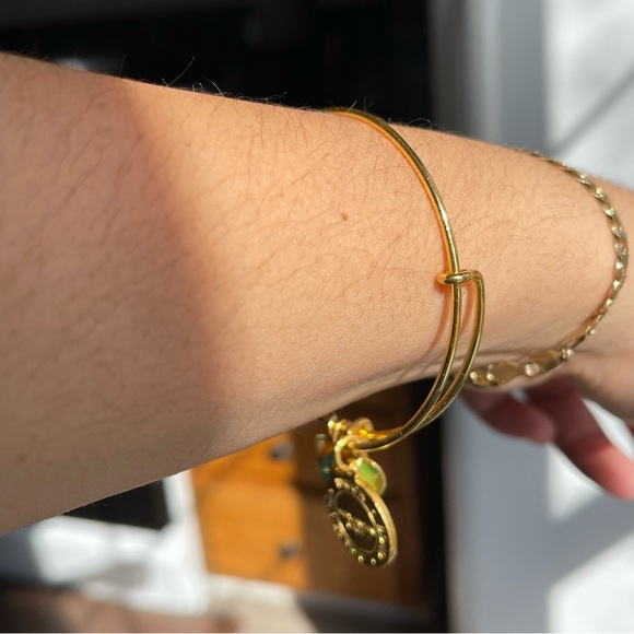 ALEX AND ANI Arrows of Friendship Charm Bangle - Picture 5 of 6